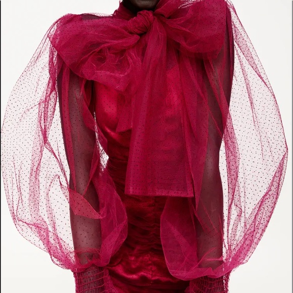 Zara TULLE SWISS DOT ORGANZA MINI DRESS W/ BOW NEW - Picture 12 of 16